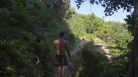 Hombre-Caminando-En-La-Naturaleza-Mirando-El-Mar.